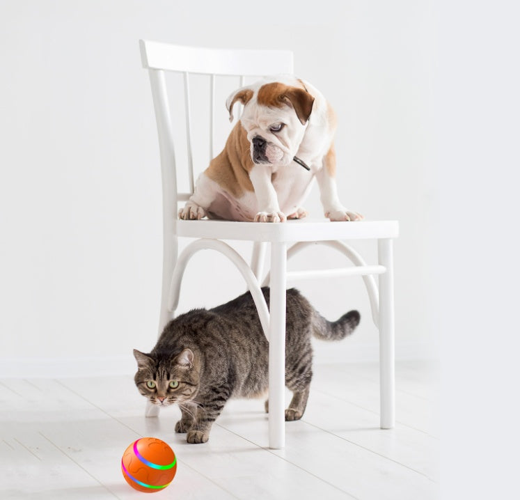 Jouet intelligent pour chat, balle rotative automatique, USB