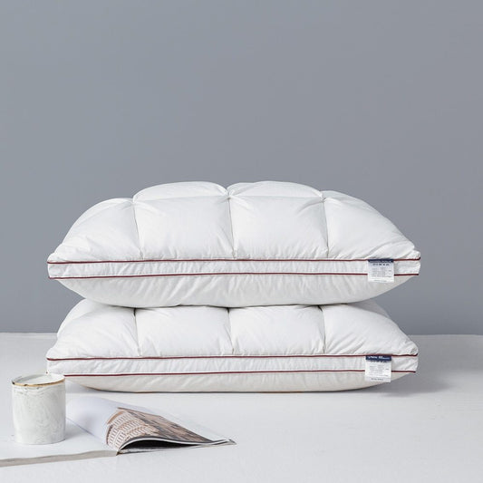 Oreiller en duvet d'oie blanche