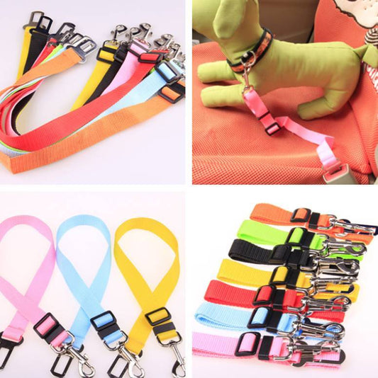 Sangle fixe en polyester pour chien Laisse pour chien Laisse pour chien