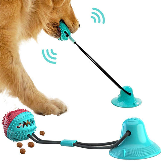Jouets pour chiens en silicone avec ventouse, balle interactive pour animaux de compagnie, à mâcher, à mordre, à nettoyer les dents, à brosser, à nourrir, fournitures pour animaux de compagnie 